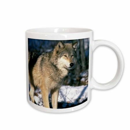 

3dRose North America USA Minnesota. Wolf (Canis lupus) - US24 GJE0011 - Gavriel Jecan Ceramic Mug 15-ounce