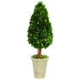 Everyday Elegance 22-inch, Green Preserved Boxwood Water Drop Topiary