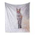 thumbnail image 1 of Fox Soft Flannel Fleece Throw Blanket, Red Fox in Rural Environment Field Covered with Snow Stormy Freezing Weather Image, Cozy Plush for Indoor and Outdoor Use, 50" x 70", Brown White, by Ambesonne, 1 of 6