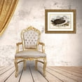 thumbnail image 3 of Gould, John 18x13 Gold Ornate Wood Framed with Double Matting Museum Art Print Titled - Cautious Albatros-Diomedea cauta, 3 of 4