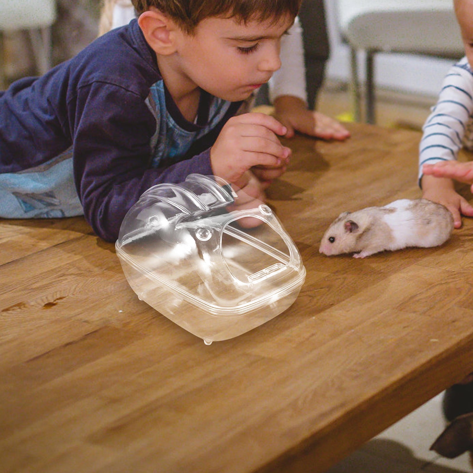 Tineasur Durable Acrylic Hamster Sand Bath Basin Perfect for Gerbils Chinchillas and Guinea Pigs