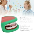 thumbnail image 3 of Mouth Hand Puppet, Oral Health Presentation  Mouth Puppet 28 Teeth  for Kids, 3 of 7
