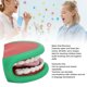 thumbnail image 3 of Marioneta De Boca Dental, 28 Dientes, Marioneta De Mano, Entrenamiento Del Habla Con Cepillo De Dientes Para Niños, 3 of 7