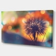 thumbnail image 2 of Dandelion Flower on Orange Background - Floral Canvas Art Print, 2 of 3