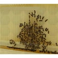 thumbnail image 3 of Small Four Spleen Automatic Bee Beehive Plastic Artesian Beehive Beekeeping Equipment Beekeeping Tools ,Practical Tools, 3 of 6