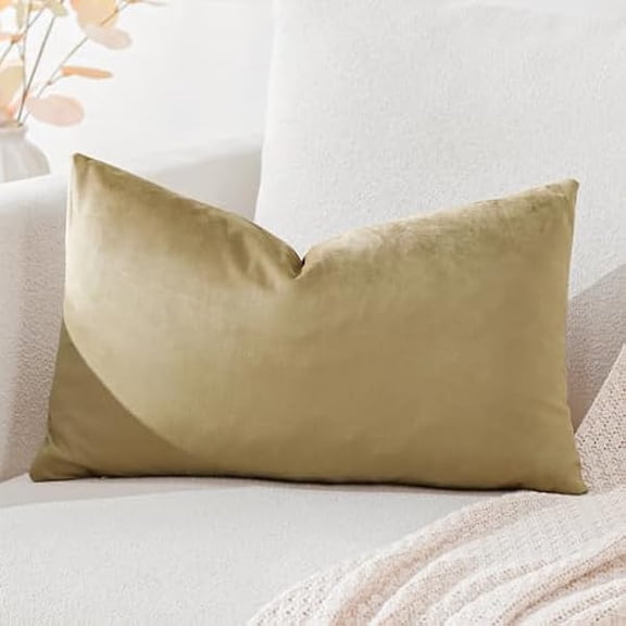 Eryueer Luxury Velvet Cushion Covers Super Soft Decorative Throw Pillow Covers Case Lumbar Cushion Cases for Sofa Couch Bedroom Car Decor 30x50cm Tan