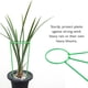 thumbnail image 3 of Estacas de soporte para plantas trepadoras Soporte para plantas altas Jaula Rin-g para plantas de ja CACAGOO S/pieza, 3 of 6