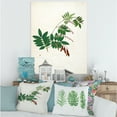 thumbnail image 2 of Designart ' Ancient Botanicals XI ' Farmhouse Canvas Wall Art Print, 2 of 4