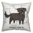 thumbnail image 2 of Creative Products Black Lab Anatomy 18x18 Spun Poly Pillow, 2 of 3