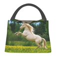 thumbnail image 1 of Lukts Horse Rearing Up In The Field Pattern Small Lunch Bag for Men Women Insulated Lunch Box Mini Lunchbox Portable Lunch Cooler Bag,Reusable Snack Bag, 1 of 6