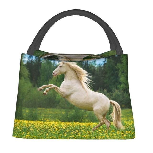 Lukts Horse Rearing Up In The Field Pattern Small Lunch Bag for Men Women Insulated Lunch Box Mini Lunchbox Portable Lunch Cooler Bag,Reusable Snack Bag