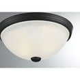 thumbnail image 5 of 2-Light Ceiling Light in Matte Black, 5 of 5