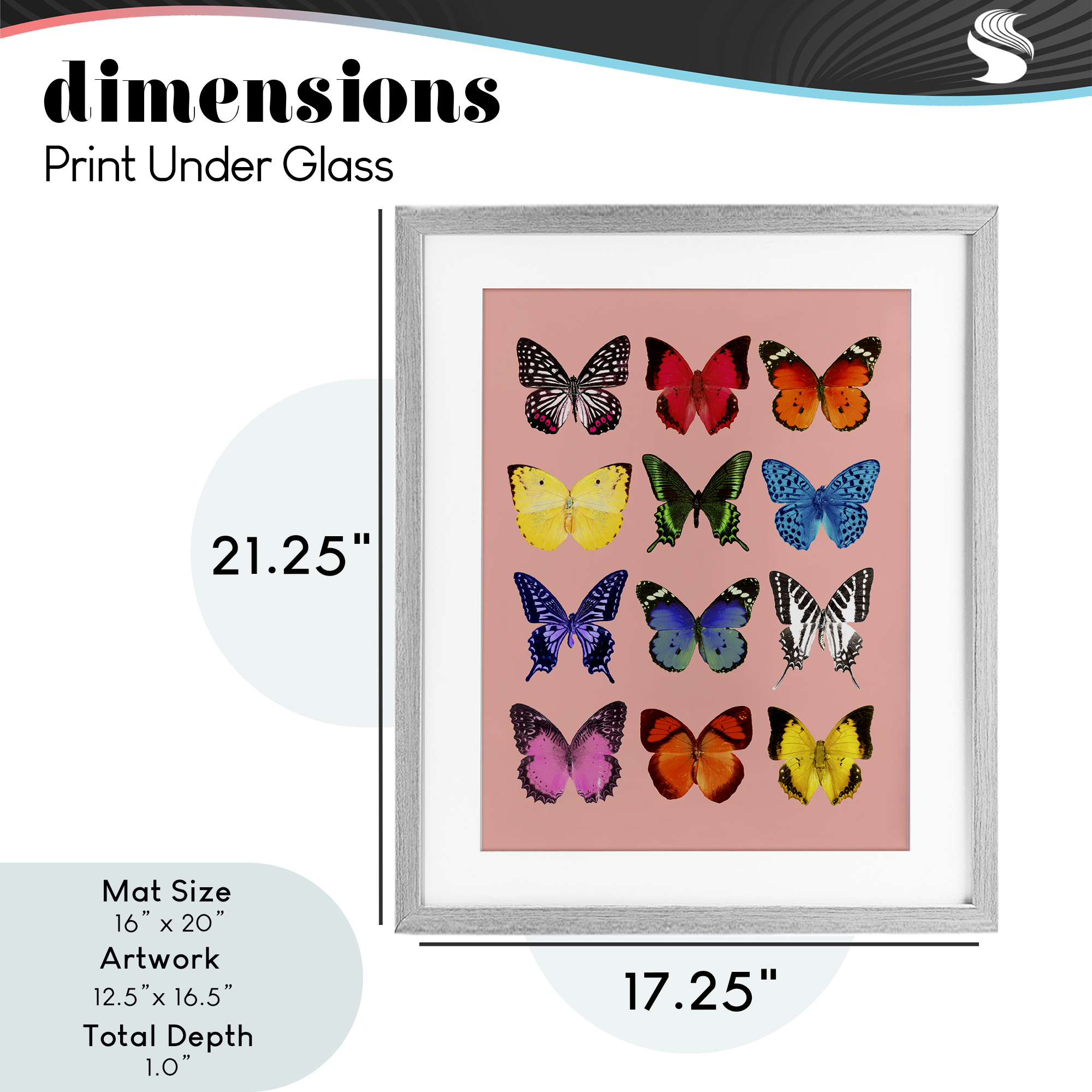 Butterfly Species on Pink Gray Framed Print Under Glass, design by LISH Creative