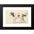 thumbnail image 2 of Charles Hamilton Smith 14x11 Black Modern Framed Museum Art Print Titled - The Alpine, or Great St. Bernard Dog (1837), 2 of 5