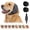 Grey, variant on Dog Ear Muffs, Silent Wuff for Dogs, Noise Reducing Calming Ear Wrap, Firework Thunder Vacuum Protection, All Breed Pet Accessories