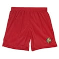 thumbnail image 3 of Justice League Movie Flash Logo Mens Lined Mesh Shorts, Red, Medium, 3 of 6