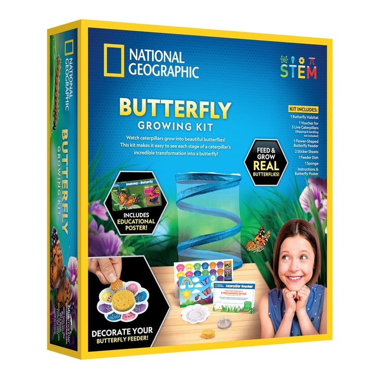 Blue Butterfly Kit Child