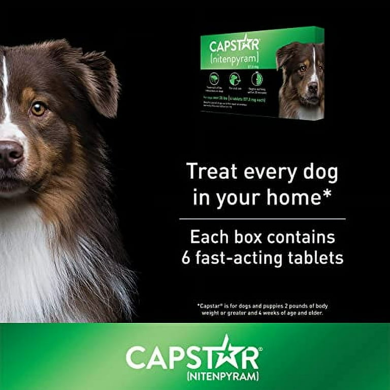 Capstar Fast Acting Oral Flea Treatment for Large Dogs 6 Doses 57 mg 26 125 lbs