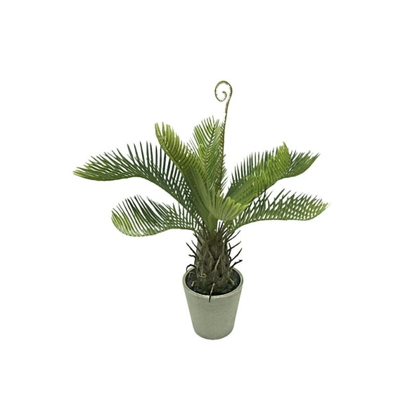 Serene Spaces Living Artificial Cycad Tree in Pot, Silk, Home Decor