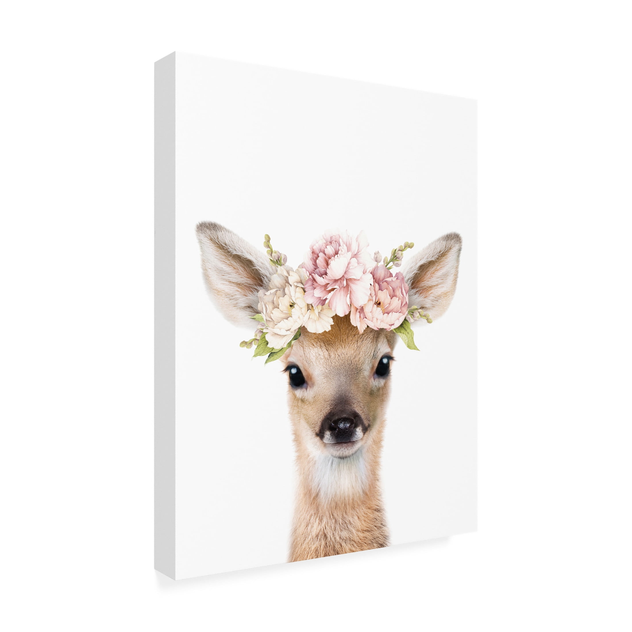 Trademark Fine Art Lola Peacock  Floral Baby Deer Canvas Wall Art
