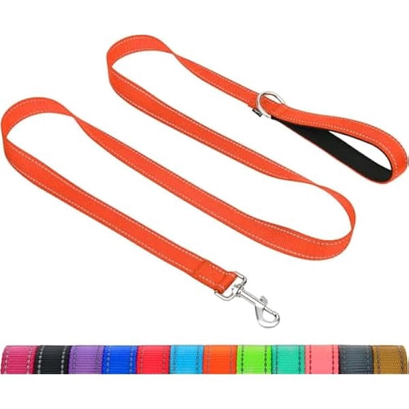 Eryueer Dog Leash for Small Dogs, Double-Sided Reflective Leash with Soft Neoprene Padded Handle, 3/4 inch by 5 ft, Fit Small Medium Large Breeds Under 20 lbs, Orange
