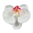 thumbnail image 1 of 10pcs Imitation Decorative Phalaenopsis Realistic Design Fake Flowers for Wedding Centerpieces Decoration - Bean Green, 1 of 2