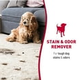 thumbnail image 3 of Nature’s Miracle Stain And Odour Remover For Dogs 17.5 Ounces, Foam Aerosol, Odour Control Formula, 3 of 8