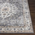 thumbnail image 3 of Cesar CEG-2347 5'3" x 7' Rug in Medium Gray/Light Gray/Tan/Charcoal/Ivory, 3 of 6