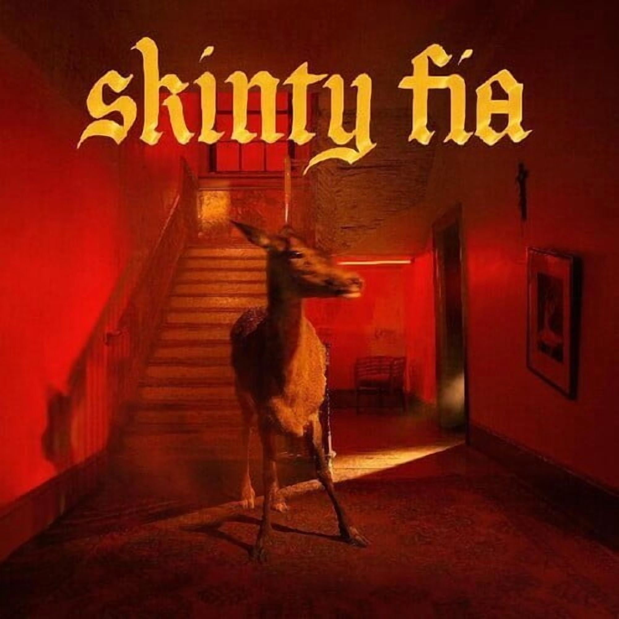 Fontaines D.C. - Skinty Fia - Music & Performance - Vinyl