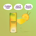 thumbnail image 4 of Moment Adaptogen Drink Still Combo Variety, 11.5 Oz, 12 Pack Cans, 4 of 8