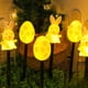 thumbnail image 1 of Juego de 6 luces solares LED de plástico con forma de conejito de Pascua, zanahoria y huevo de Pascua, para jardín, patio, exterior, montaje en suelo., 1 of 6