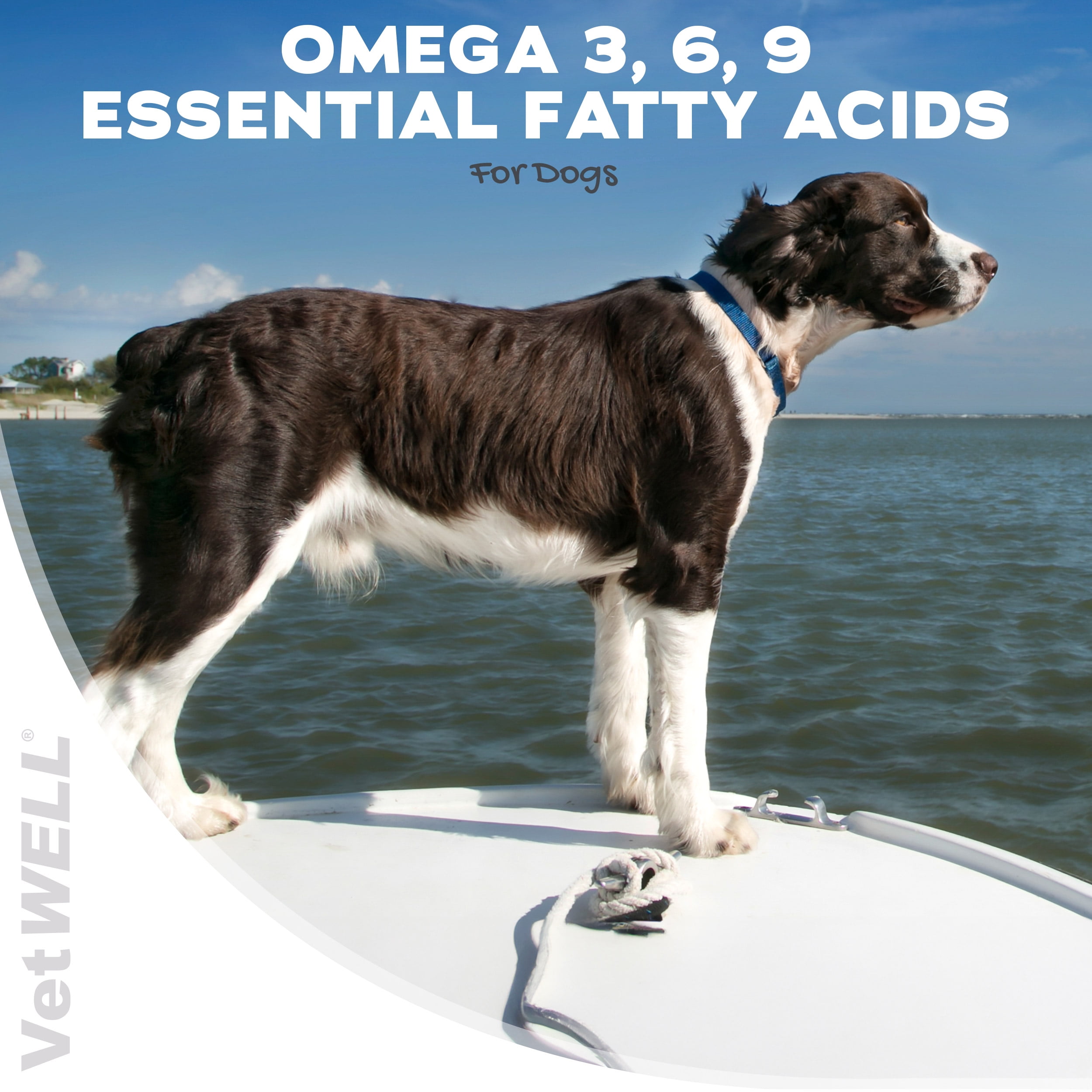 VetWELL Omega 3 Supplement for Dogs with Krill Oil and Astaxanthin, 60 Count