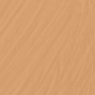 Medium Neutral (medium with neutral undertones)