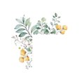 thumbnail image 1 of Long Lasting Wall Mural Flower Switch Wall Decorative Stickerღ K9X2, 1 of 6