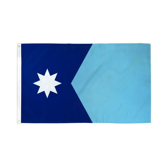 Minnesota Flag 3x5ft Poly