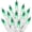 Green, variant on 4th of July Decoration Patriotic Mini Lights - 100 Count 20 Feet Red White Blue Incandescent Bulb Waterproof String Lights Plug in for Indoor Outdoor Christmas Party Patio Independence Day Decoration