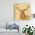 thumbnail image 3 of Trademark Fine Art 'Golden Antlers Iii' Canvas Art by Albena Hristova, 3 of 3