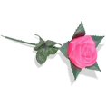 thumbnail image 1 of Charming Glow Rose Pattern LED Light Room Garden Faux Flower Lamp Decor JIKAIX_The Ultimate Gift, 1 of 5