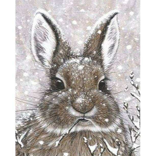 Diamante (DE5873) 5D DIY nieve conejo cuadrado mosaico arte Rhinestone imagen 40x50cm FLhrweasw Nuevo