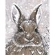 thumbnail image 1 of Diamante (DE5873) 5D DIY nieve conejo cuadrado mosaico arte Rhinestone imagen 40x50cm FLhrweasw Nuevo, 1 of 1