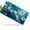 Blossoming Branches, variant on Frog under Mushroom Front License Plate, Metal License Plate, Funny Standard Plates Personalized Novelty Decorative For Men/Women/Boys/Girls Car 6×12 Inch