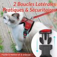 thumbnail image 2 of Arnés para gatos Correa para perros pequeños Arnés ajustable para gatitos (rojo S) Collar reflectante para gatos Chaleco transpirable para conejos, gatos europeos, Maine Coon, personas Rojo Verde Cocina, Decoración y Otros, 2 of 5