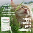thumbnail image 4 of HomeoPet Feline PURR DENTAL, Water Additive, Dental Care Support Drops for Cats, 15 mL, 4 of 7