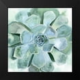thumbnail image 2 of Borges, Victoria 15x15 Black Modern Framed Museum Art Print Titled - Verdant Succulent III, 2 of 5