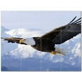 thumbnail image 1 of Bird Photo Ceramic Tile Mural Kitchen Backsplash Bathroom Shower 404089-M43, 1 of 3