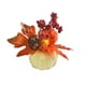 thumbnail image 2 of ¡Descuento Exclusivo!, Decoraciones de Acción de Gracias Adornos de calabaza Adornos de utilería Corona de otoño Decoraciones de hojas de arce Akmoler, 2 of 9