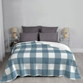 thumbnail image 2 of LNWH Super Soft Flannel Bed Blanket, Cozy Fluffy Warm All Seasons Blue Gingham Print Pattern Throw Blankets for Sofa Bedding, 50"x40", 2 of 8