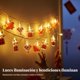 thumbnail image 3 of Abbraccia Decoración colgante festiva acrílica iluminada para Año Nuevo Chino, decoración de balcón y hogar, 3 of 6