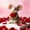 Color C, variant on Christmas Felt Mouse Ornaments,Valentines Day Needle Felted Mice Figurine,Handcrafted Felt Animal Collection Doll,Cute Felted Santa Hold Rose Ornament for Stocking Stuffer,Ideal Gifts for Women Girls