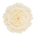thumbnail image 4 of Fondo de pared de flores de papel 40cm Flores grandes DIY Decoración de Foto Prop Beige, 4 of 6